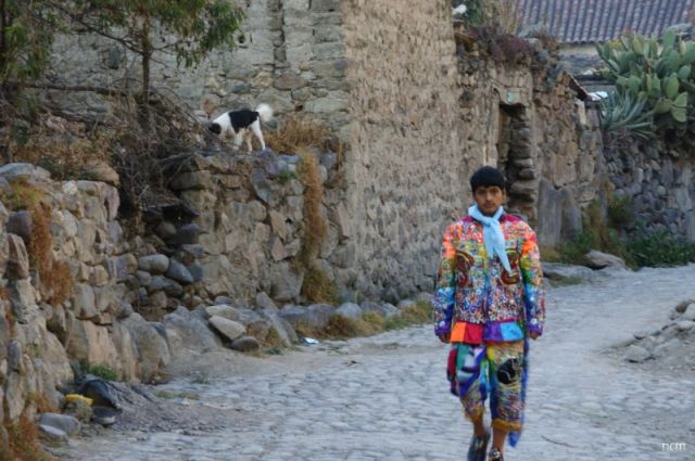 This young man certainly stands out from the stone around him