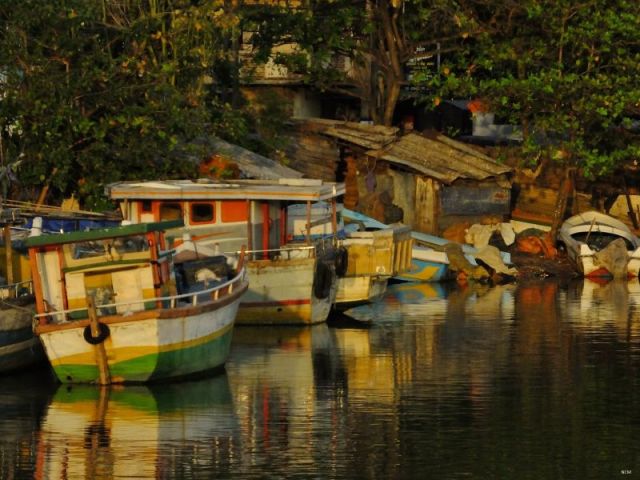 Scene on drive home from marsh tour