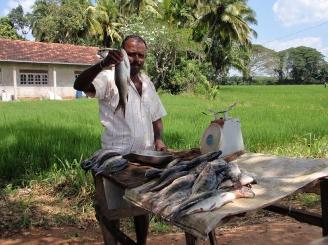 Man selling fish along our alternate route