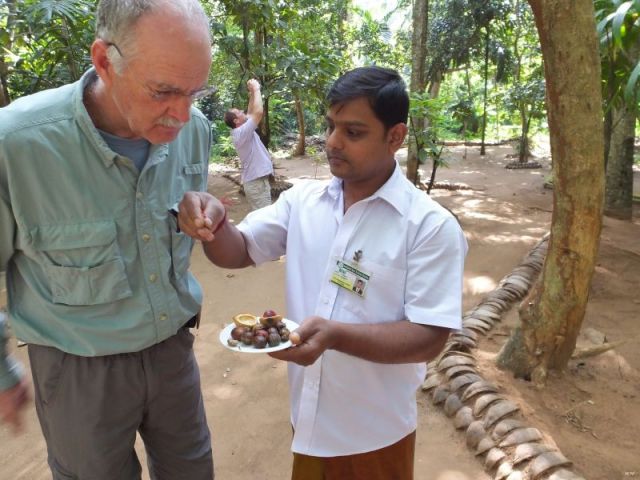 Paul pays attention on the spice garden tour