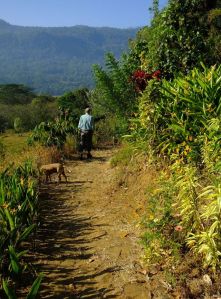 Paul exploring Mas Villas