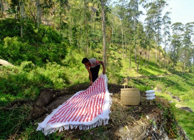 Preparing our picnic area