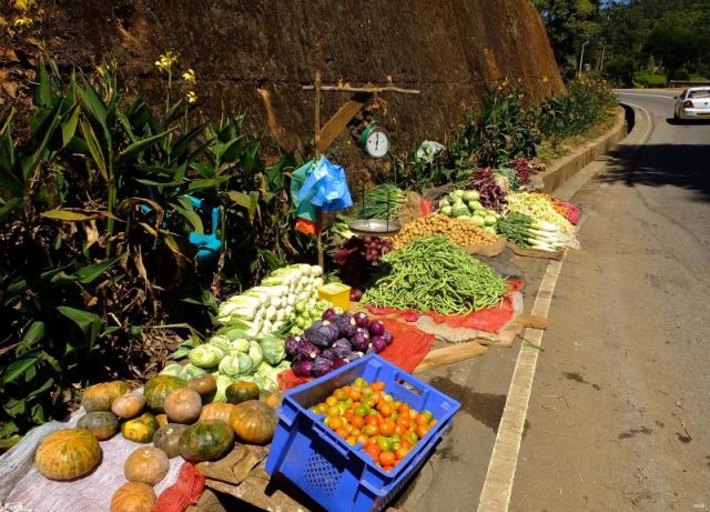 Roadside vegetable market