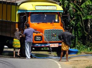 Sri Lankans love color
