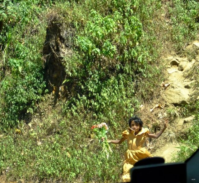 Determined flower seller