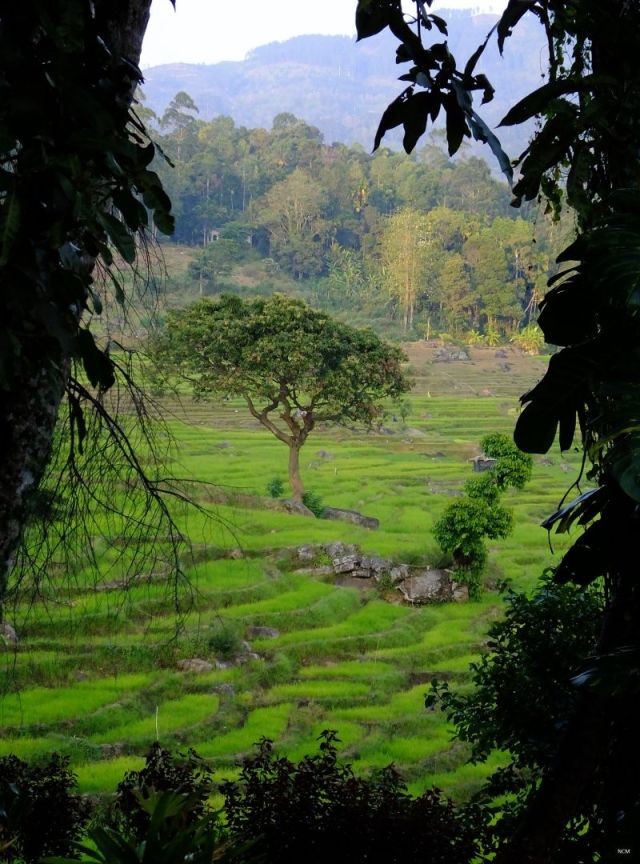 View from our window