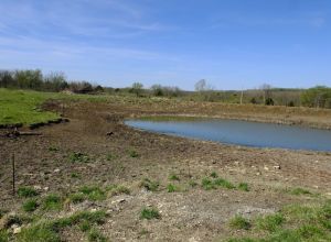 Pond we had to fence out to keep cattle from getting stuck in the mud