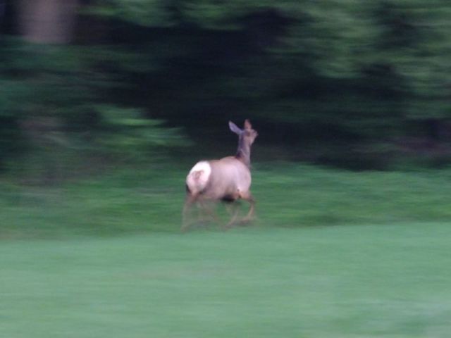 Don't get motion sickness looking at this photo!