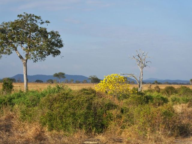 The lovely landscape of Mikumi
