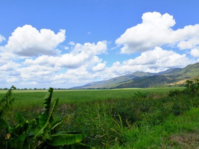 Mountains and Cane fields on our way to the lodge