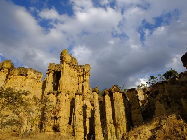 These photos are an example of the scenery we walked through in the canyon. Gorgeous!