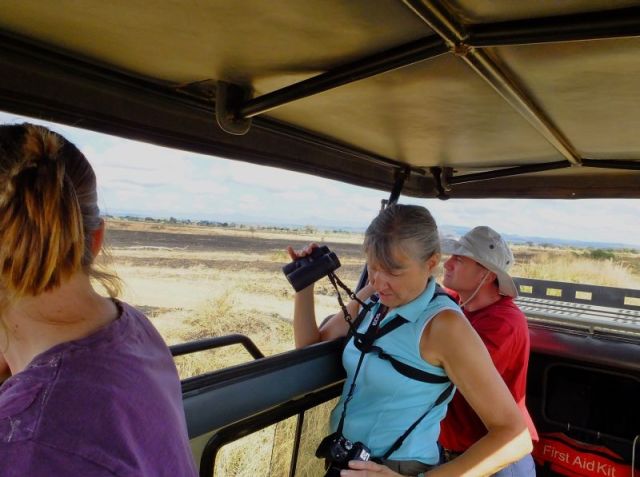 This photo was taken in Mikumi National Park but it shows how the tops of the safari trucks pop up.