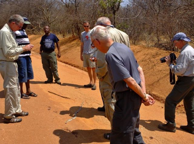 Members of our group getting a close up look at the dead snake