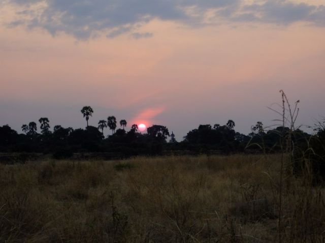 A red sunrise over Ruaha