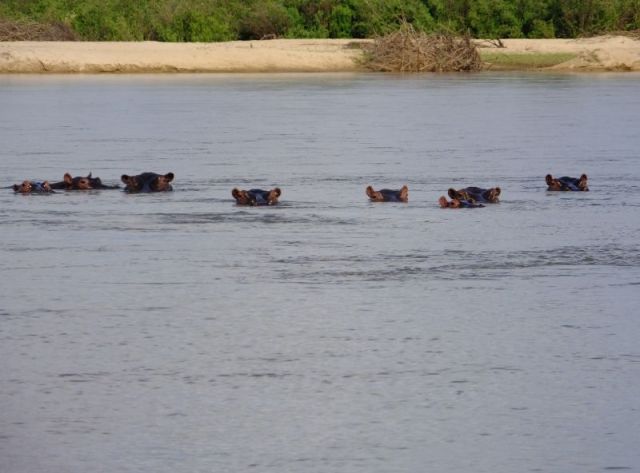 We dare you to cross this line.