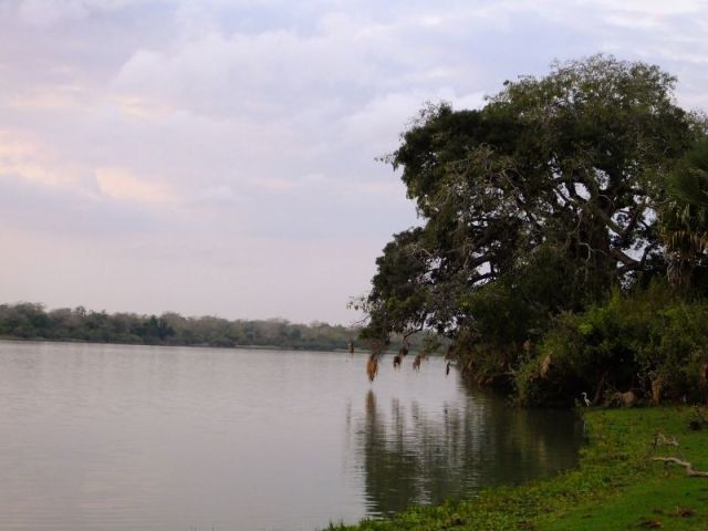 This beautiful scene is just a few steps away from the dining area.