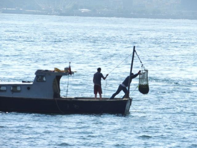 Fishermen on the Marmara Sea