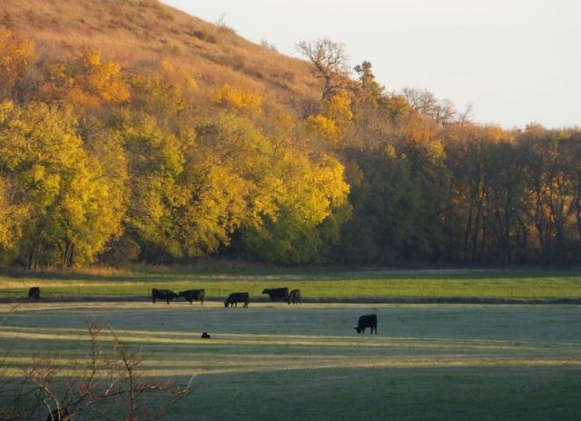 Vivid fall colors looking south from our yard