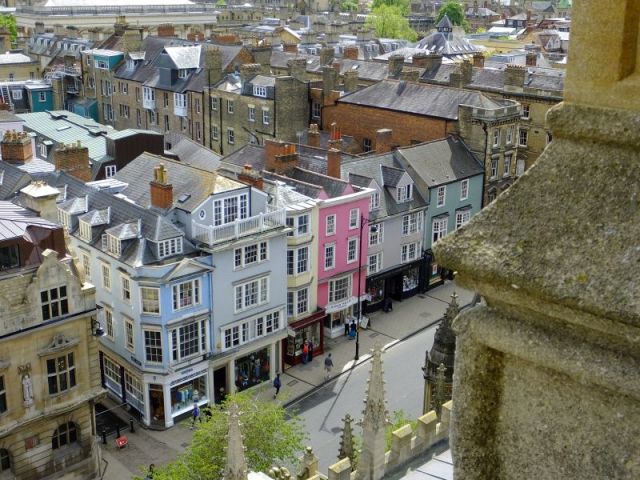 A nice touch of color in all the grey