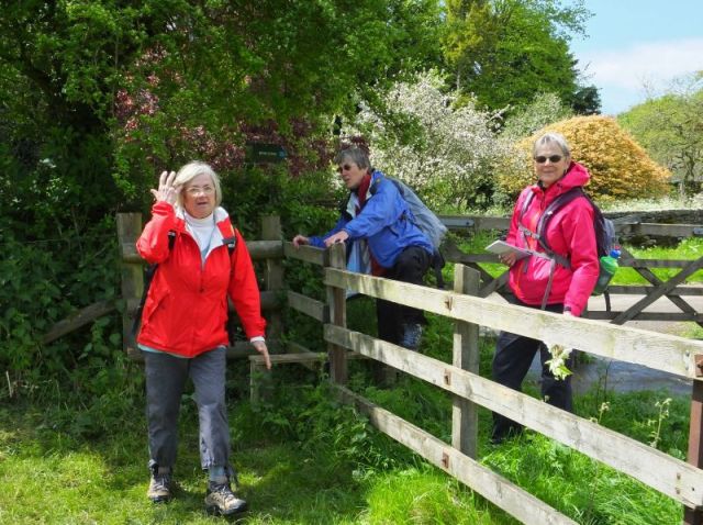 Climbing over a stile into the pasture to walk to the church