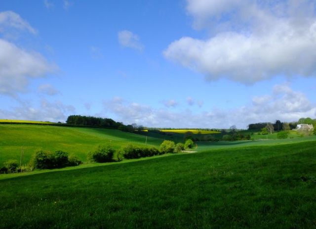 Sunlight and shadows make for a dramatic scene
