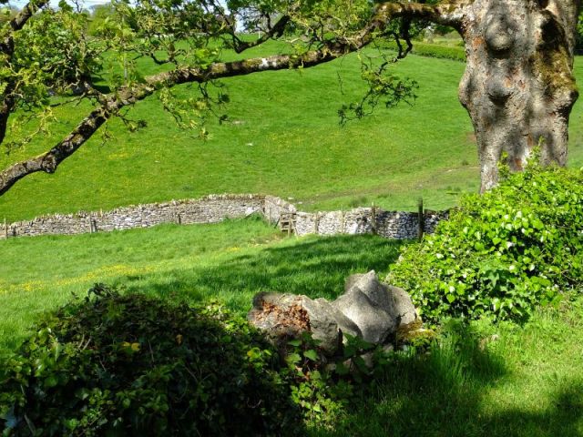 One last photo in England