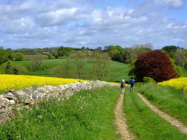 My photo of Joy and Paul taking photos of this colorful scene