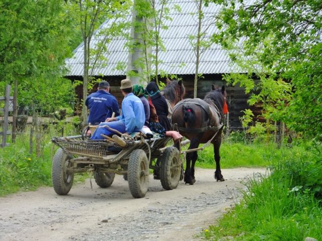 I took this photo shortly after my mishap. I wasn't as worried about my shoe as Cornelia was.