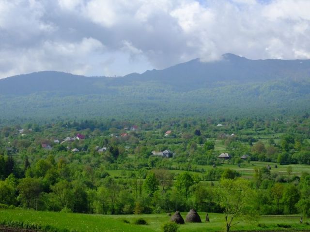 Looking at Breb on our return from Hoteni