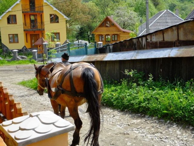 Early morning traffic by our room.