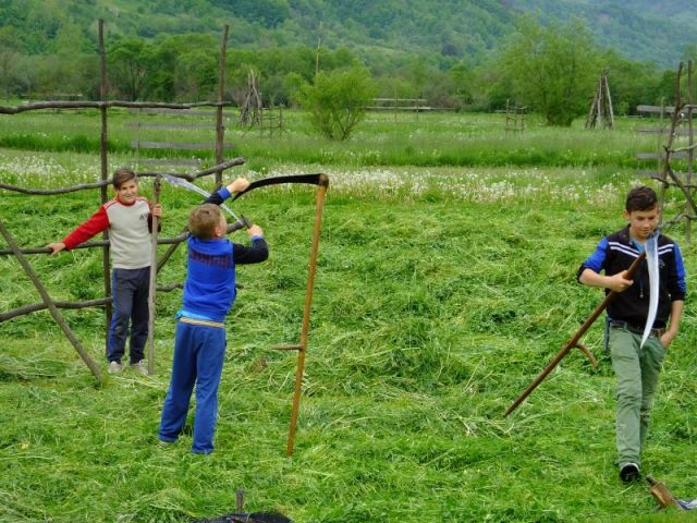 The mowing is finished but scythes are sharpened in prep for he next field