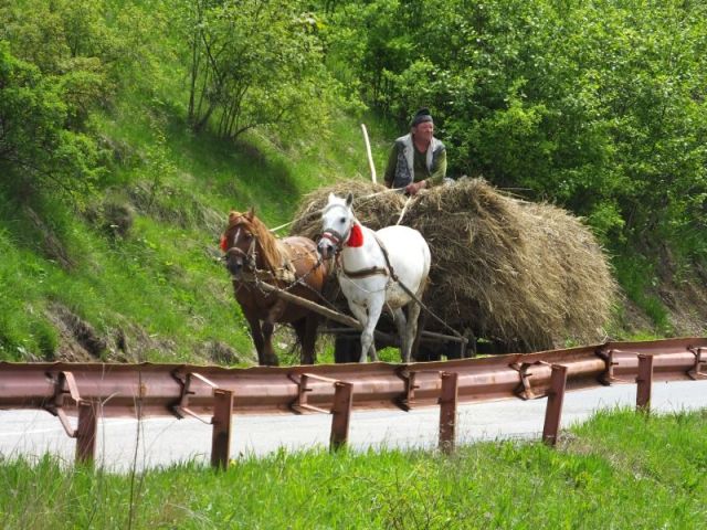 A big load of loose hay