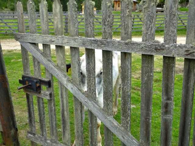 Are you still in there?