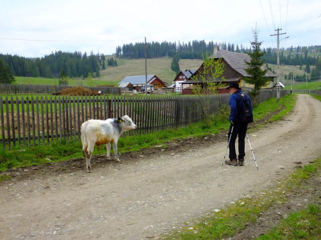 Paul has a new friend