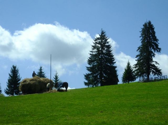 Road side scene taken from the van