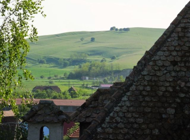 This hill reminded me of Kansas