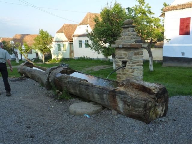 Spring fed watering trough