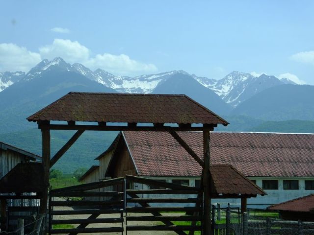 The Angus ranch we visited