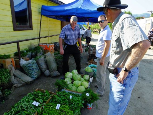 Daniel and Paul seem to be discussing the cabbages