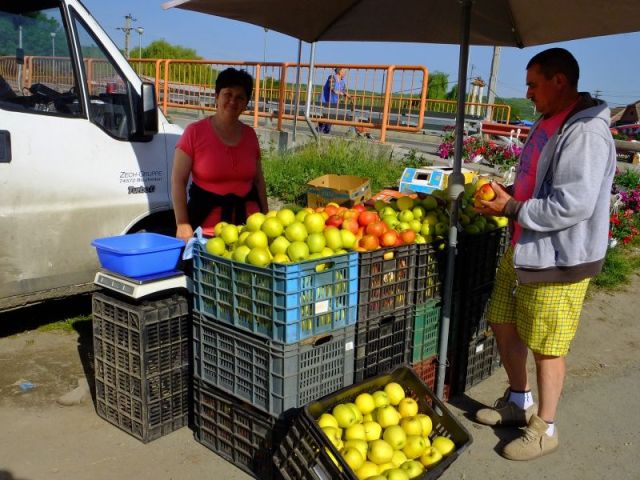 That is a lot of apples!