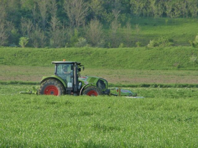 The tractor cutting with three swathers. Paul's photo