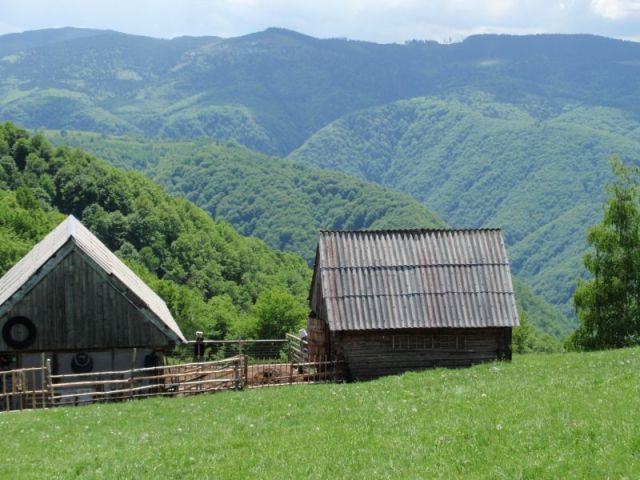 This seems to be the only photo of the family's place. The barn is to the right and the house to the left. What a backdrop! Paul's photo