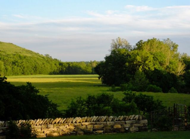 Just a pretty back yard photo early in the morning at our house