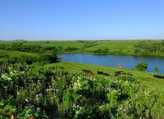 A photo that shows some of the many tree lined ravines, many of them impossible to drive through.