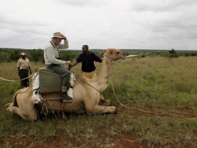 Paul is the first one to get on a camel