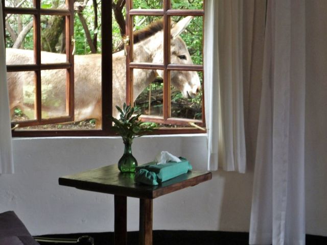 View out our bathroom window:).