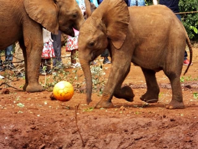 Playing a little soccer.