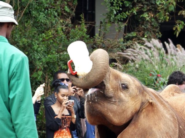 I can hold my own bottle, thank you very much.