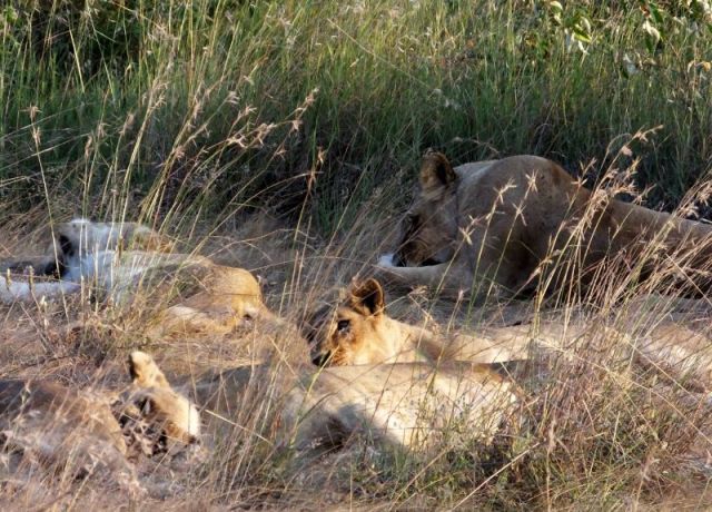 This looks much more comfortable