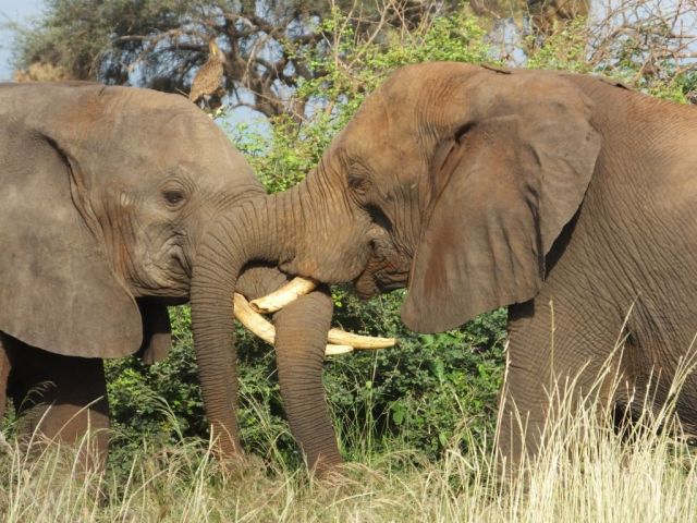 greeting one another